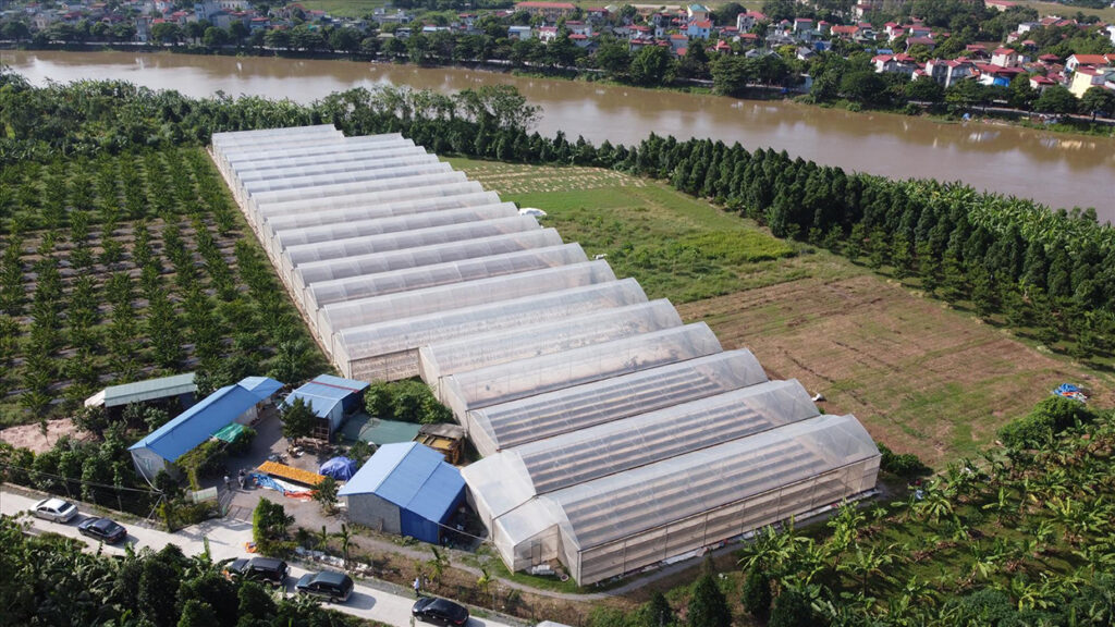 Farm-in-Hoai-Duc.-Hanoi