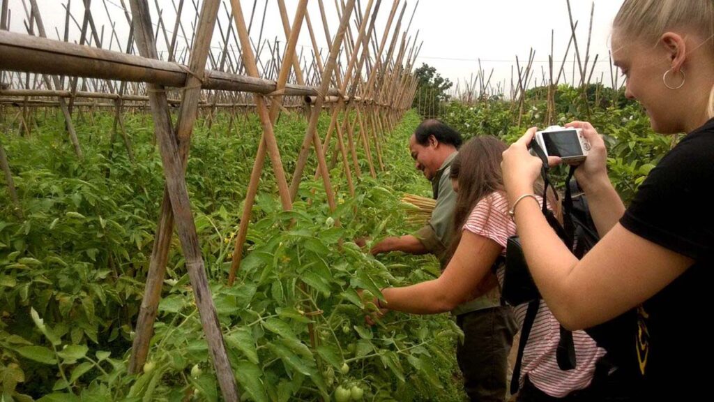 farming-cooking-tour-hanoi